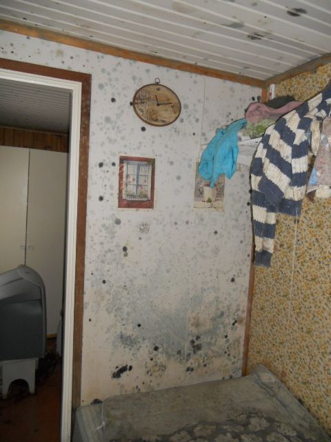 Fuktskada i hem med mögel på väggar och tak